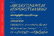 Routya Manila Bold Handwritten Font, a Script Font by Letterena Studios Script (Thumbnail 18 of 20)