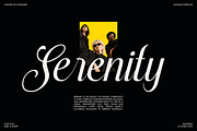 Stylish Harmony - Duo Luxury Font, a Serif Font by Font Liner (Thumbnail 6 of 10)