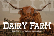 Henk Singer Slab Serif Font, a Slab Serif Font by Storytype Studio (Thumbnail 8 of 15)