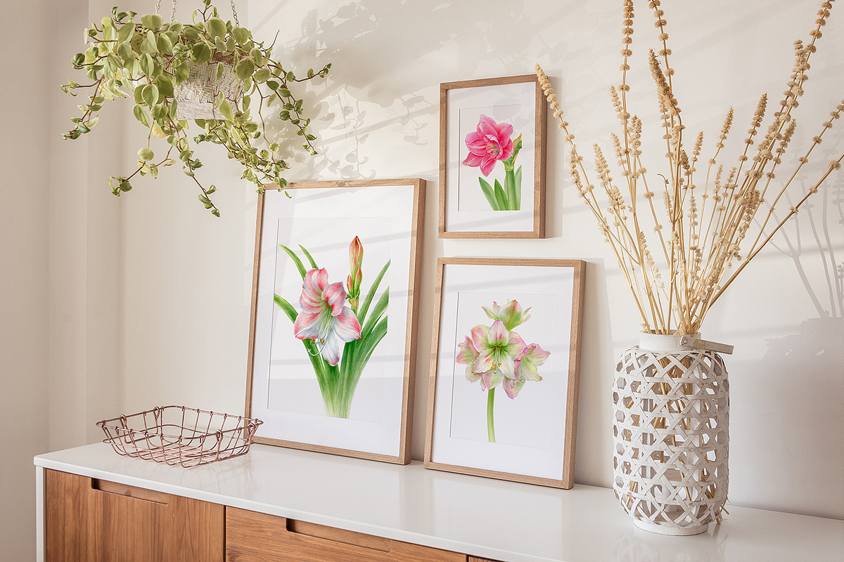 Botanical art - amarillis flowers, an Object Graphic by ViktoriArt (Photo 7 of 14)
