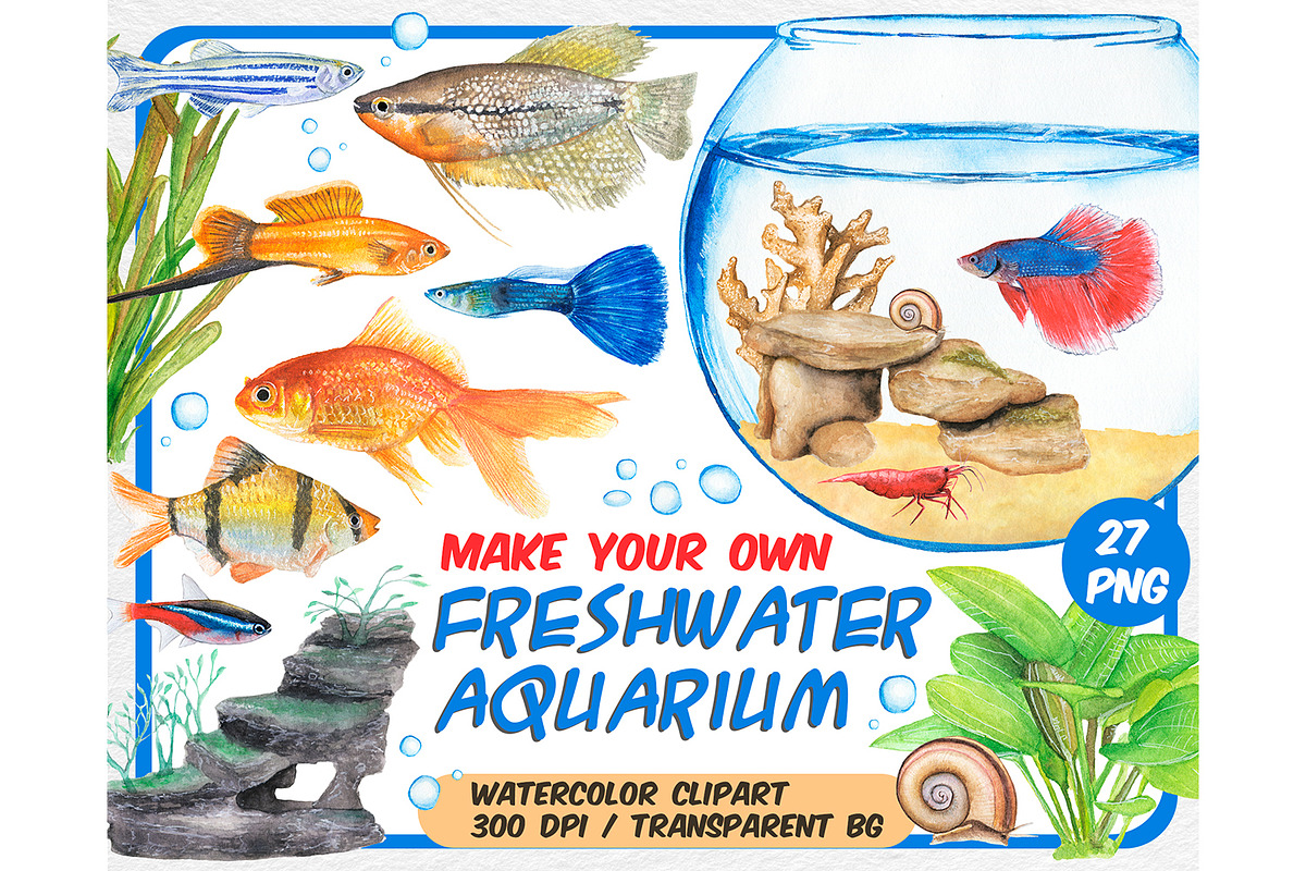 Watercolor tropical fish clipart, an Animal Illustration by ArtfulStudio (Photo 1 of 8)