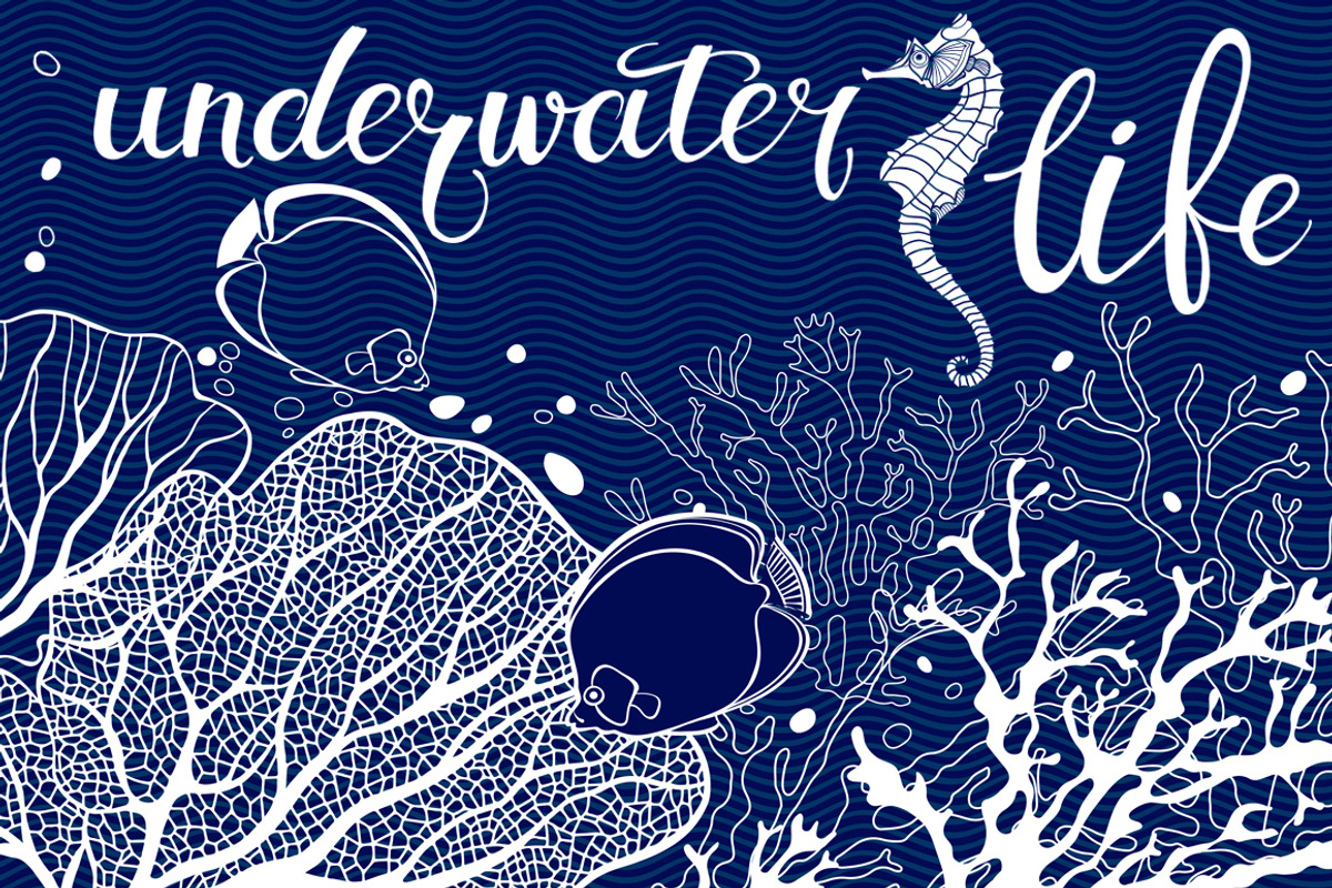 Underwater life., a Texture Illustration by maritime_m (Photo 1 of 9)