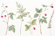 Watercolor Forest Set, a Decorative Illustration by Lembrik's Artworks (Thumbnail 6 of 6)