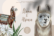 Watercolor LLama & Alpaca, an Animal Illustration by NNclipart (Thumbnail 1 of 5)