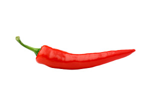 Fresh chili pepper isolated on white, a Food & Drink Photo by BOOCYS