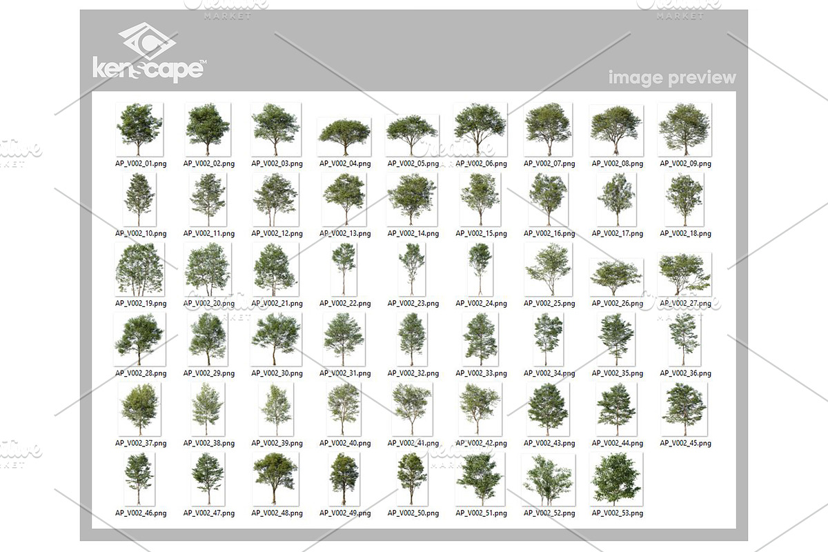 53 Trees PNG Photo Overlays, a Nature Photo by KenScape (Photo 3 of 3)
