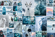 160 Arctic and Antarctic images, a Nature Photo by Handmadefont (Thumbnail 2 of 13)