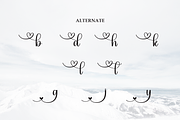 Snowsky | Script Font, a Handwritten Font by Scratchones (Thumbnail 8 of 9)