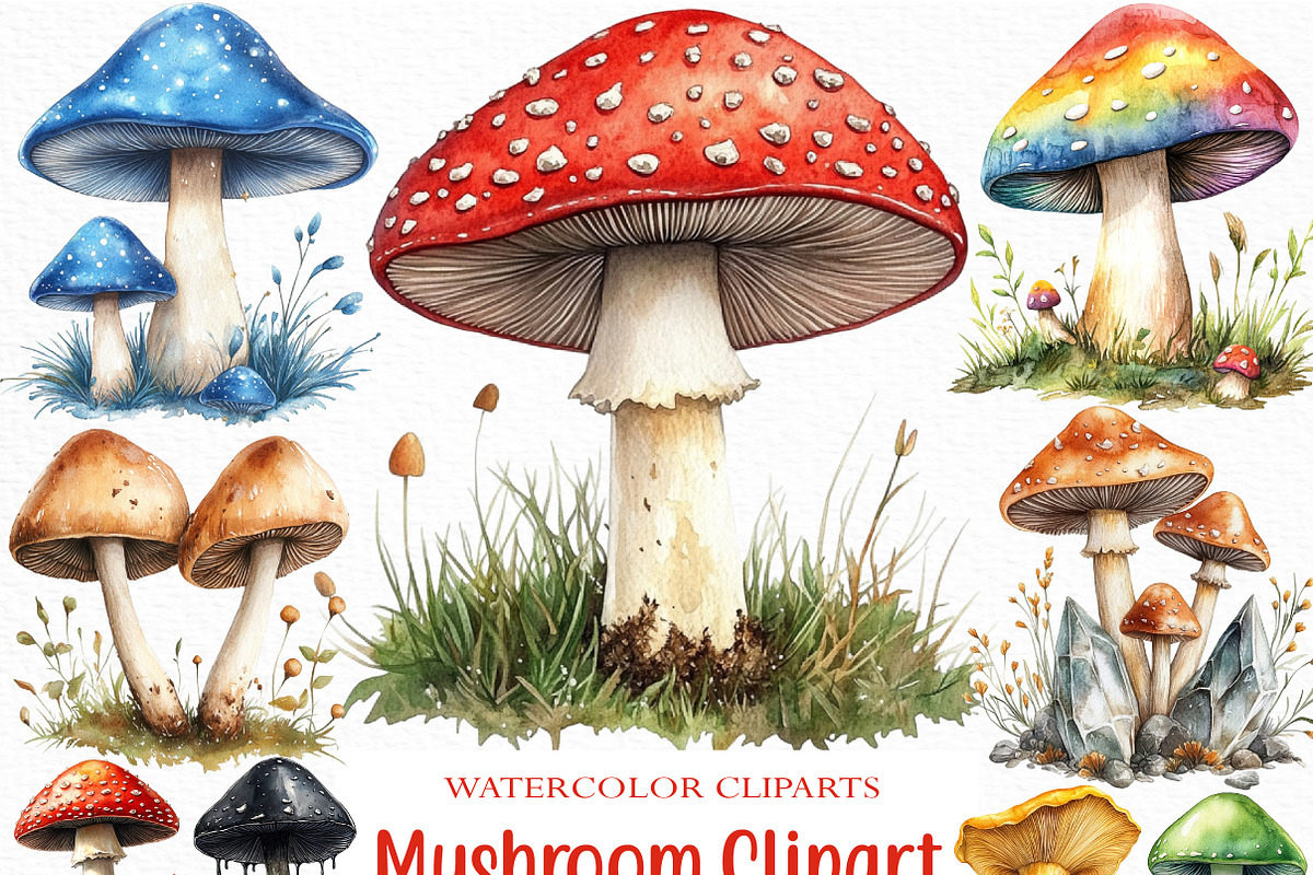 Watercolor Mushroom Clipart Bundle, an Illustration by Craft Nest (Photo 1 of 6)