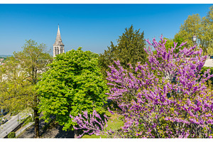 Spring tree blossom in Angouleme, France, an Architecture Photo by Leonid Andronov