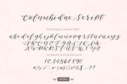 Columbidae Elegant Calligraphy Font, a Script Font by The Pigeon Letters (Thumbnail 2 of 11)