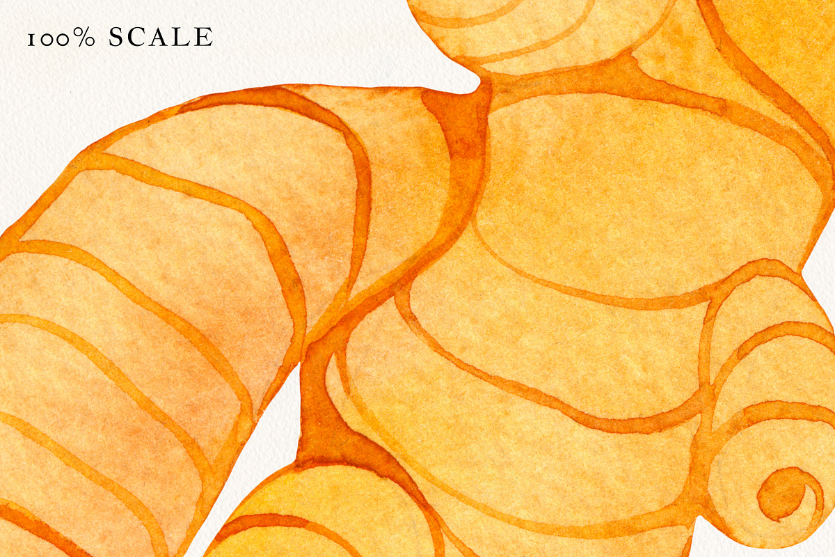 Ginger Watercolor Elements, a Decorative Illustration by Olga Begak Art & Design (Photo 3 of 3)