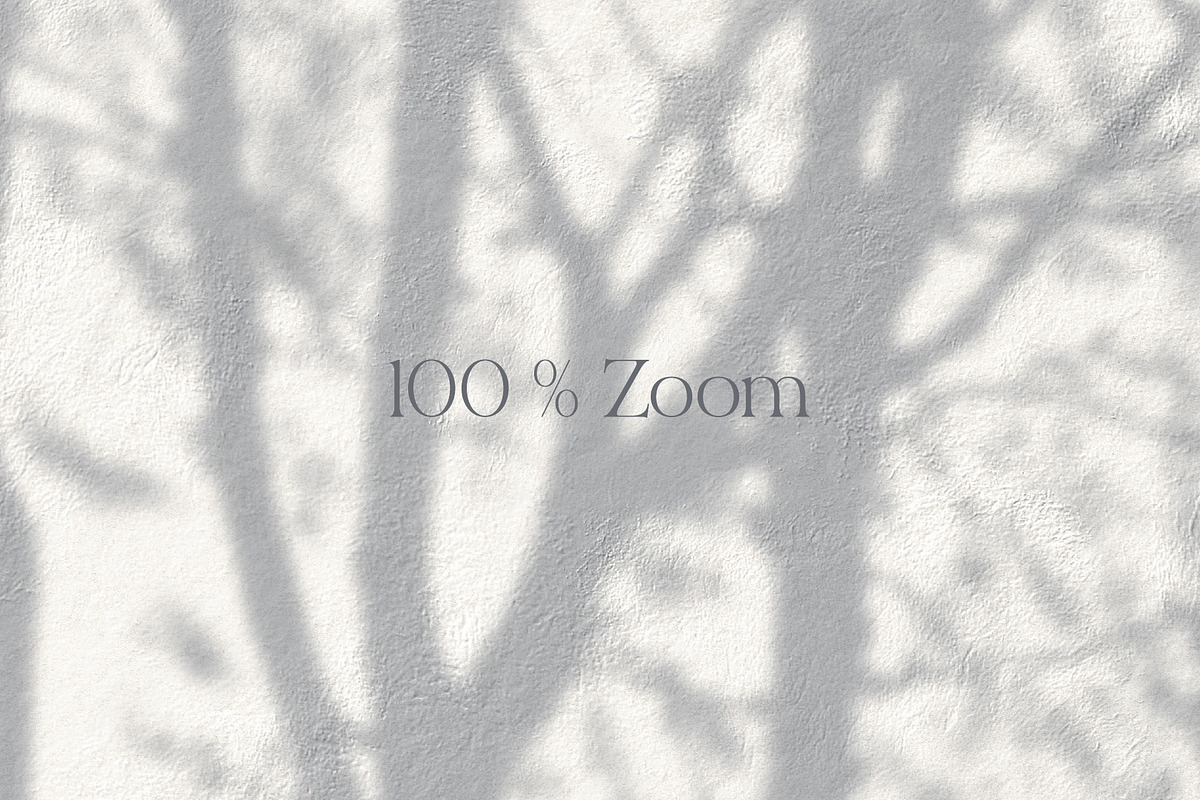Shadows – wall mural collection, a Wallpaper Graphic by Timofi Art (Photo 5 of 17)