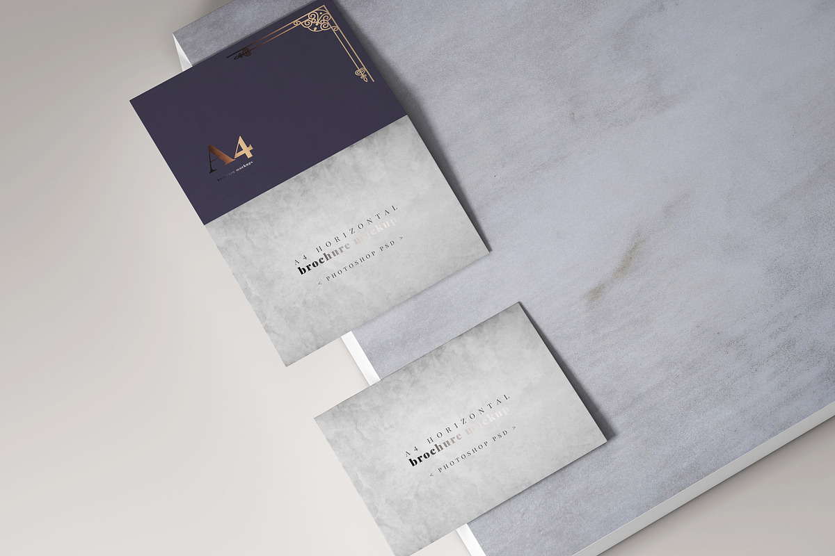 165 Brochure Mock-ups Big Bundle, a Print Template by pmvch (Photo 157 of 170)
