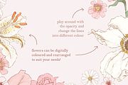 Pencil Drawing Flower Set, an Illustration by elpple (Thumbnail 3 of 4)