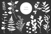 Fresh greenery frames and patterns, a Decorative Illustration by marie dricot (Thumbnail 14 of 16)