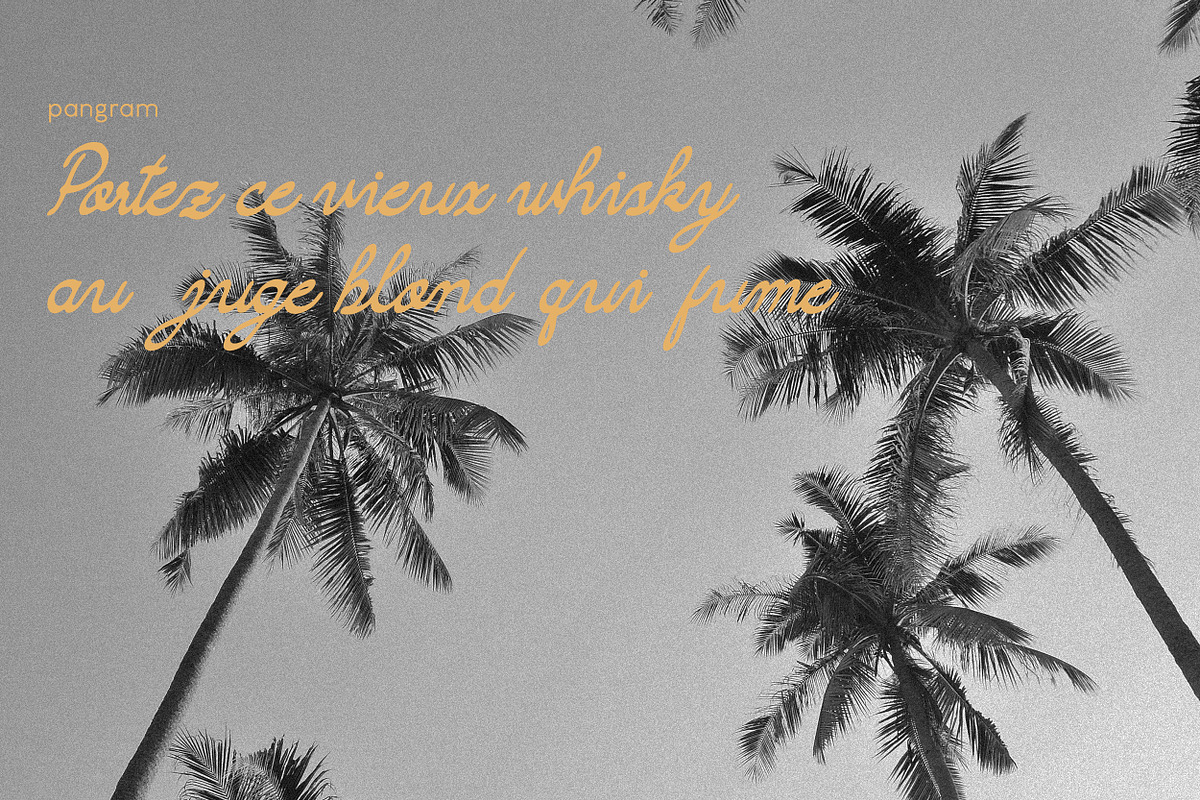 Camarali Script Font, a Script Font by Hishand Studio (Photo 8 of 8)