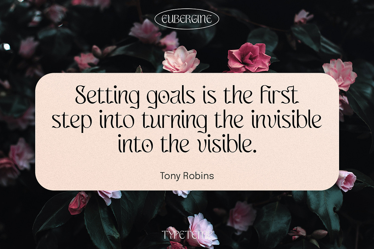 EUBERGINE - Display, a Font by Typetemp Studio (Photo 9 of 16)