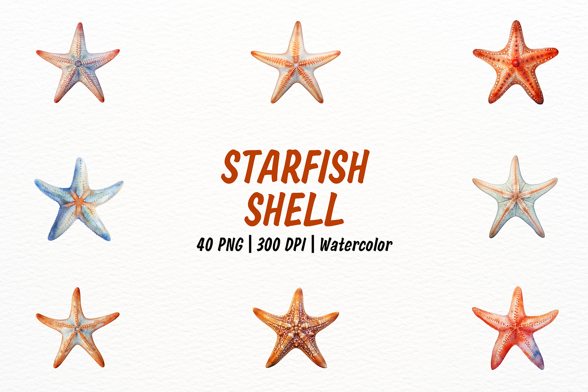 Realistic Starfish and Shell Clipart, an Animal Illustration by New-School-Wave (Photo 1 of 5)