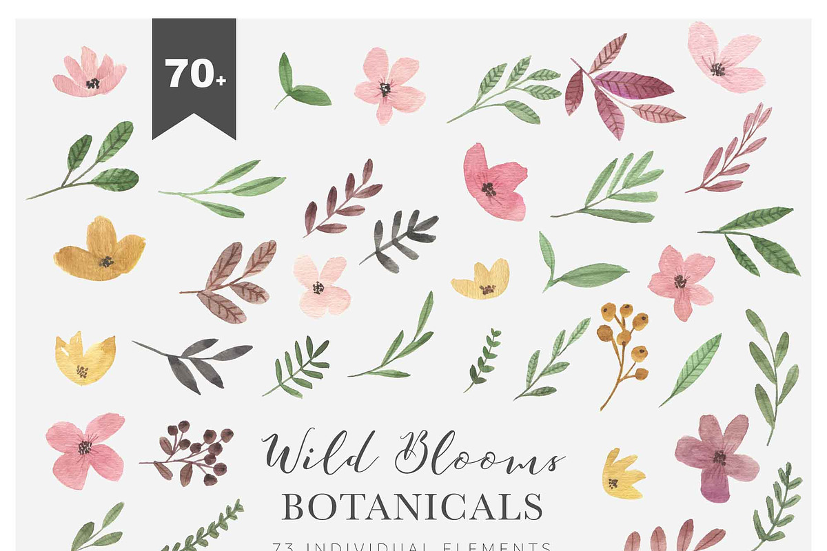 WILD BLOOMS - Watercolor Florals, a Decorative Illustration by Momo Studio (Photo 8 of 13)