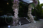 A Garden of Roses | Wedding, Events, a Nature Photo by Farewell (Thumbnail 14 of 41)