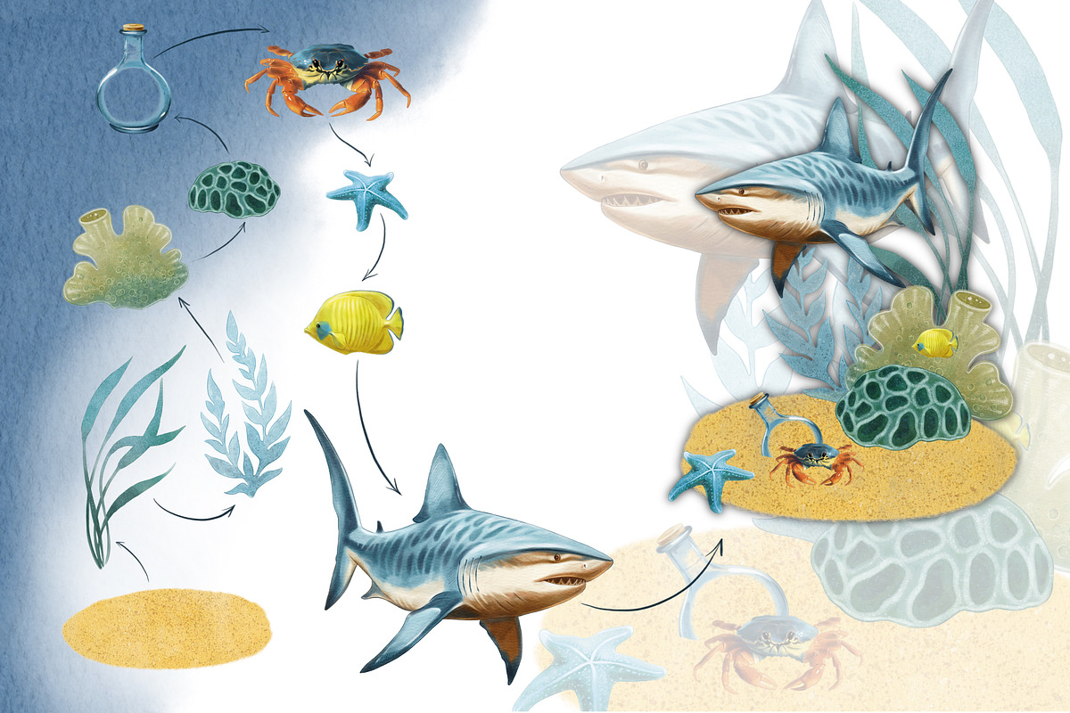 Underwater world watercolor collecti, an Animal Illustration by IrynaPanashii (Photo 10 of 16)