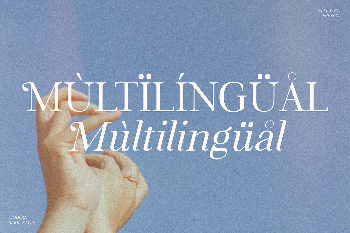 Fortela Typeface Font, a Serif Font by Storytype Studio (Photo 12 of 15)