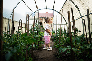 Young child exploring a greenhouse surrounded by growing plants, a Person Photo by AS photostudio