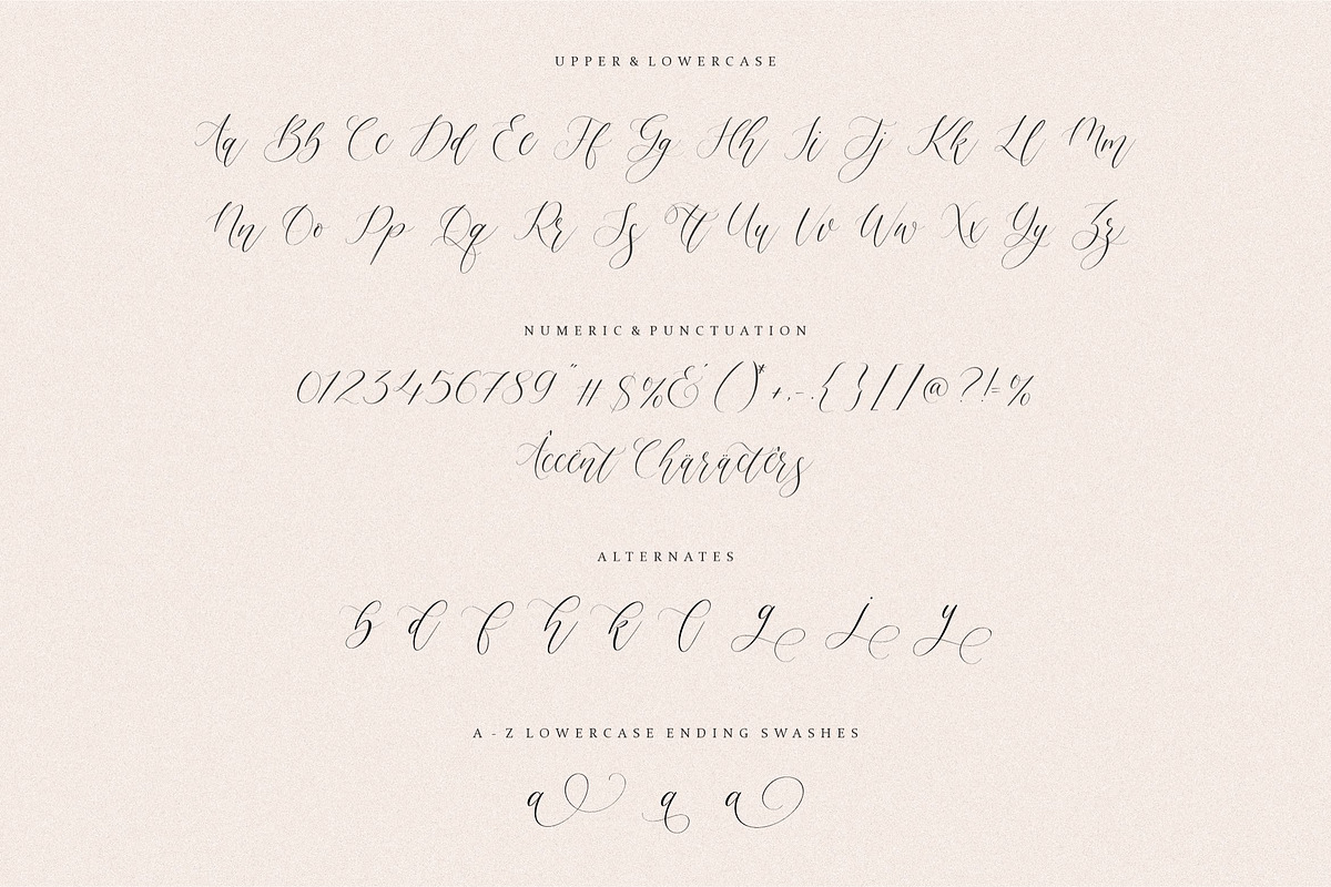 Felmora - Modern Calligraphy Font, a Script Font by Balpirick Studio (Photo 6 of 7)