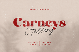 Carneys Gallery Font Duo, a Sans Serif Font by Letteralle Studios