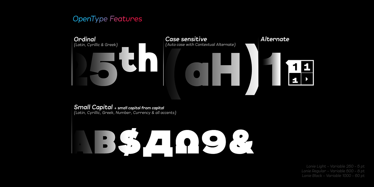 Lonie, a Sans Serif Font by Par Défaut (Photo 5 of 11)