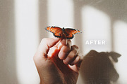 Vintage Film: LR Presets & Film Dust, a Preset Add-On by J.Studio (Thumbnail 9 of 14)
