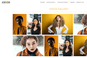 .co Co - Shopify Theme