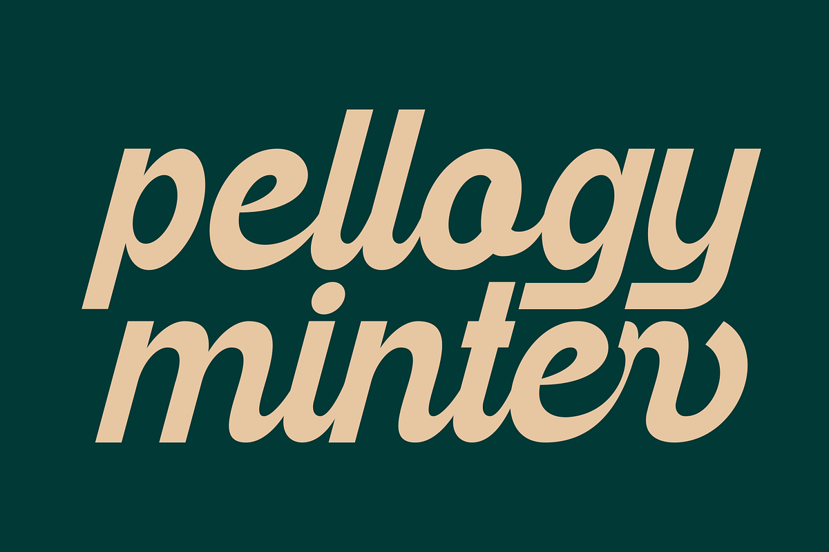 Fallbeil - Modern Script Typeface, a Script Font by Marvadesign (Photo 5 of 10)