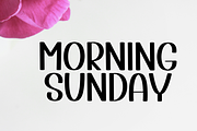 Vintage Bunny, a Script Font by InermediaSTUDIO (Thumbnail 3 of 8)
