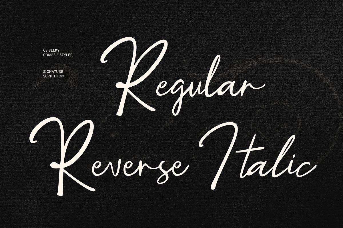 CS Selky - Signature Script Font, a Script Font by Craft Supply Co. (Photo 4 of 8)