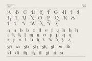 Birahi Stylish Serif Font, a Serif Font by Perfectype (Thumbnail 8 of 8)