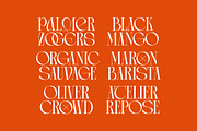 Arganica Stylish Display Serif, a Serif Font by timelesstype.co (Thumbnail 3 of 20)