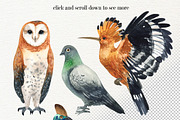 Watercolor Birds set, an Illustration by KatBranchArt (Thumbnail 2 of 2)