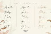 Longidea, a Script Font by Nathatype (Thumbnail 5 of 10)