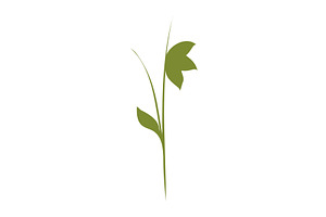 Green plant stem with two leaves and, an Object Illustration by okskukuruza