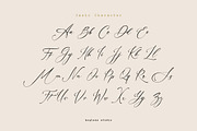Amsterline - Modern Calligraphy Font, a Script Font by Koplexs Studio (Thumbnail 6 of 13)
