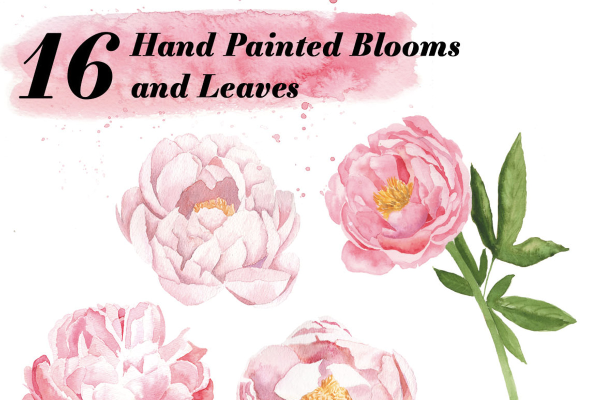 Watercolor Peonies, a Background Graphic by Instinct Design Co (Photo 2 of 3)