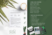Accountant CV Template | CV Template, a Resume Template by Career Canvas (Thumbnail 5 of 11)