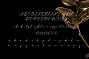 The Lacoste Font Duo, a Serif Font by Pen Culture (Thumbnail 8 of 9)