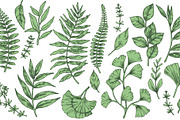Tropical leaves.  Sketch style, a Seasonal Illustration by made by Tanya (Thumbnail 2 of 4)