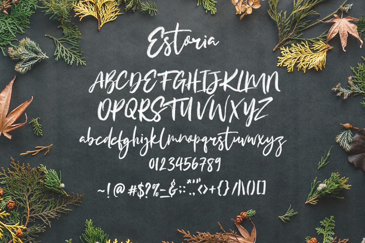 Estoria Script - SVG Font preview 5