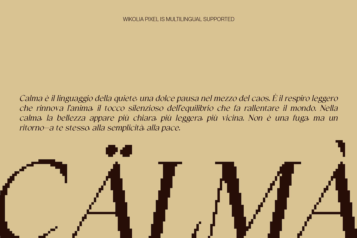 Wikolia Pixel, a Serif Font by Craft Supply Co. (Photo 5 of 8)