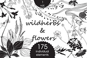 Wildherbs and flowers., an Object Graphic by maritime_m (Thumbnail 1 of 8)