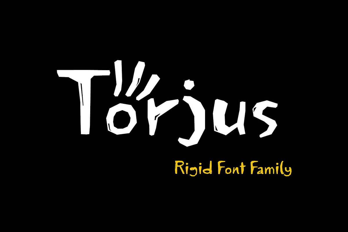 Torjus Font Family, a Sans Serif Font by Ryul Davidson (Photo 1 of 17)